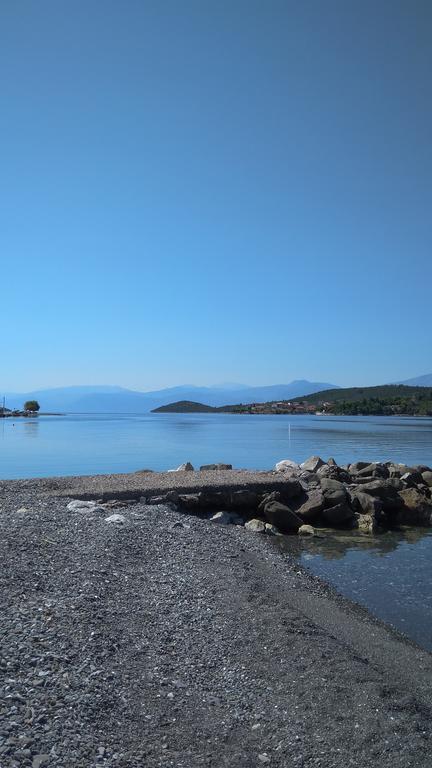 Nikolitsa * Glyfada (Phocis)