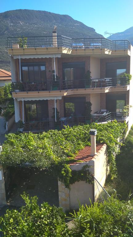 Apartment Nikolitsa Glyfada (Phocis)